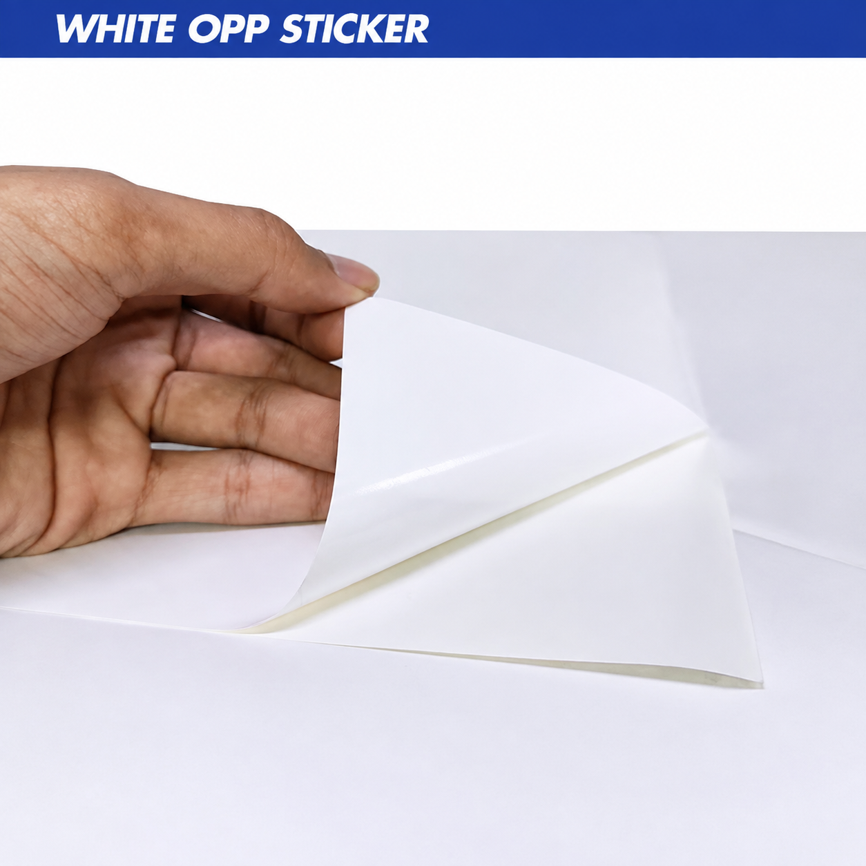 Contoh Synthetic White PP Sticker